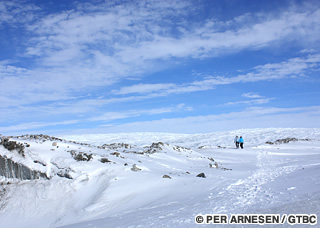 氷河上の散歩